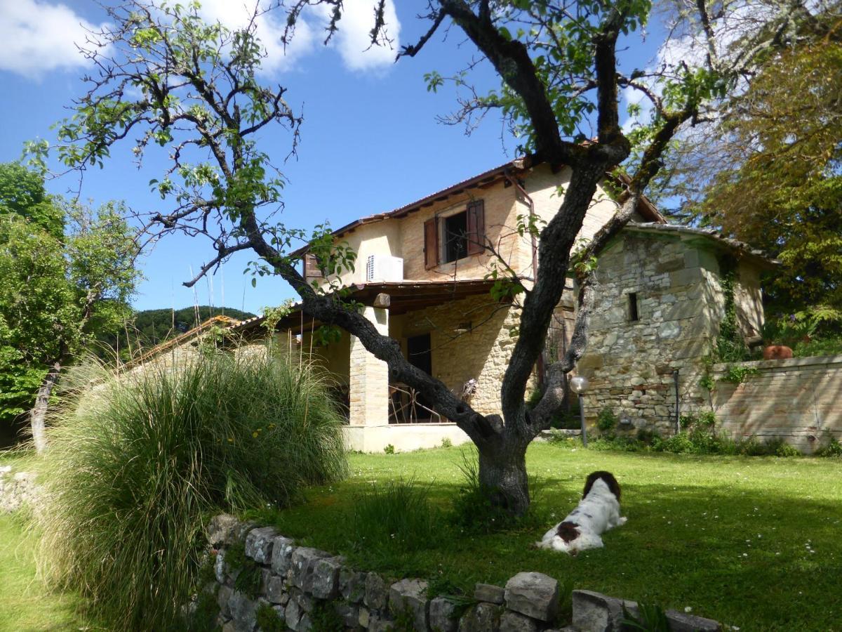 Country House La Casa Paterna Monte Santa Maria Tiberina ภายนอก รูปภาพ
